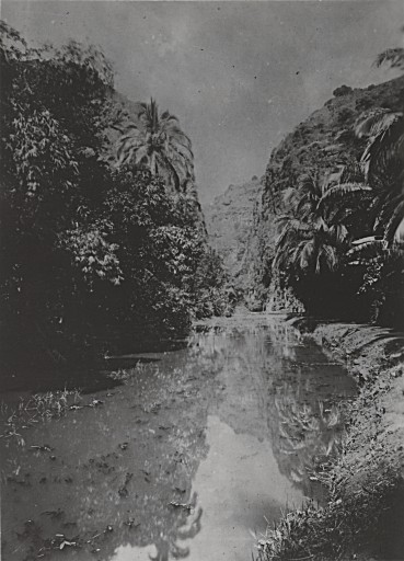 Saint-Paul / Bernica — archive