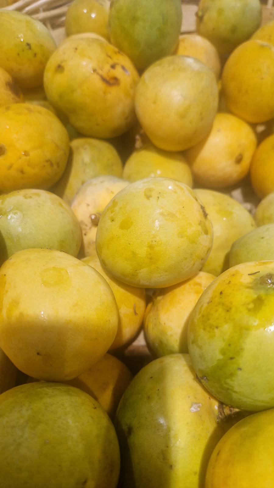 La mangue se mange mûre, verte, en rougail ou en confiture selon les variétés et les saisons.