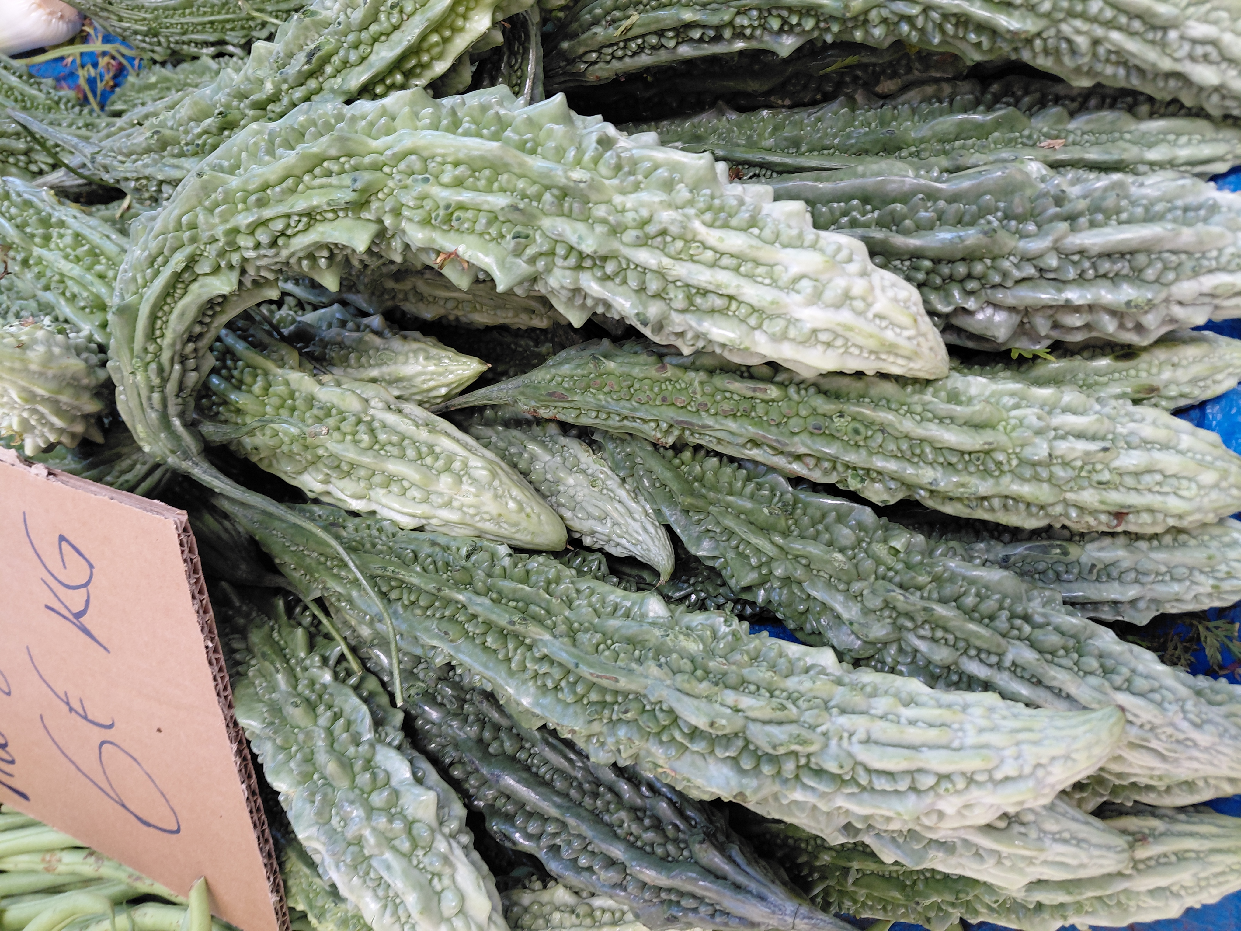 Le margose, aussi appelé margoze, est un légume amer présent dans plusieurs cuisines de l’océan Indien.