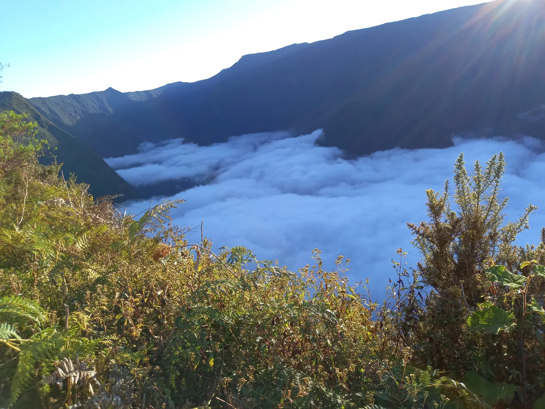 Végétation indigène et reliefs de La Réunion