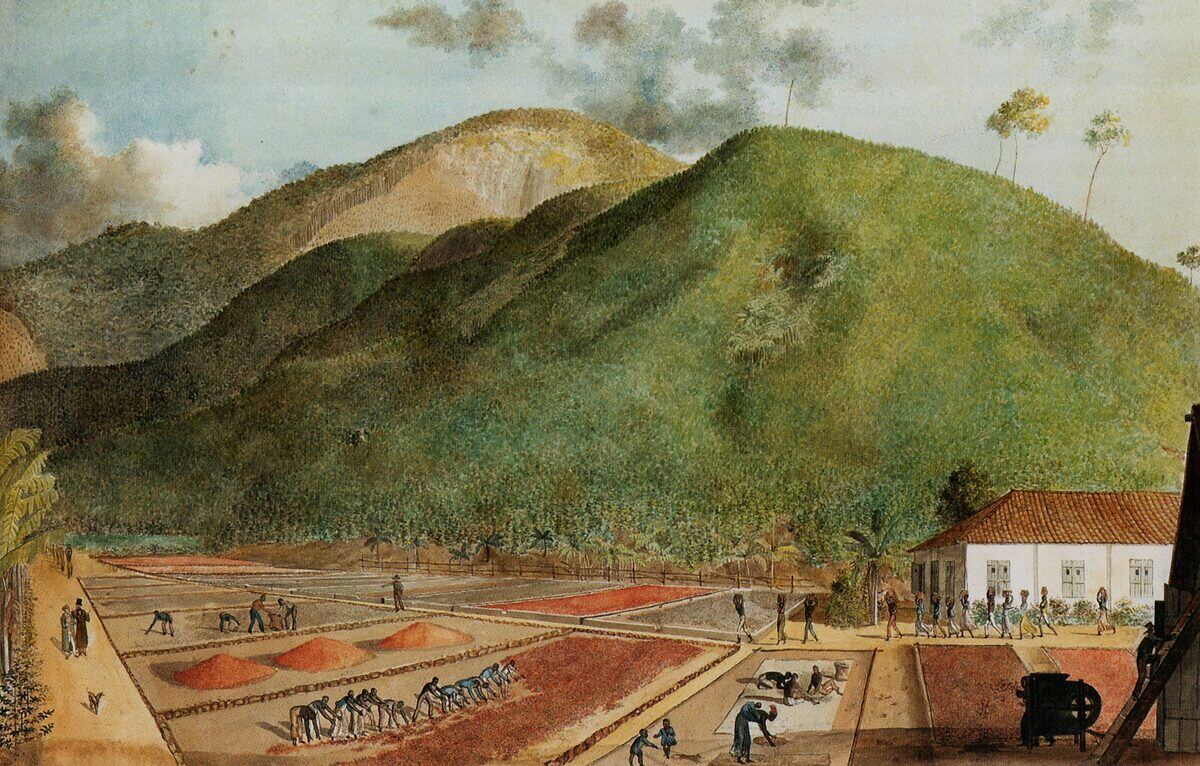 Esclaves travaillant dans une plantation de café à Bourbon vers 1800
