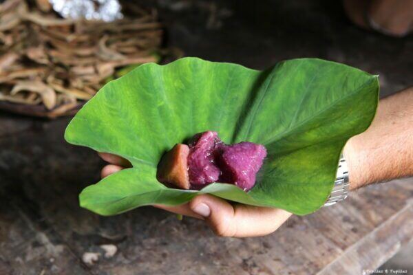 Cambarre mauve