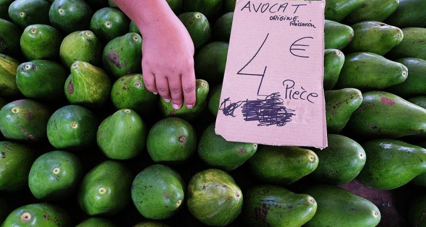 Avocat