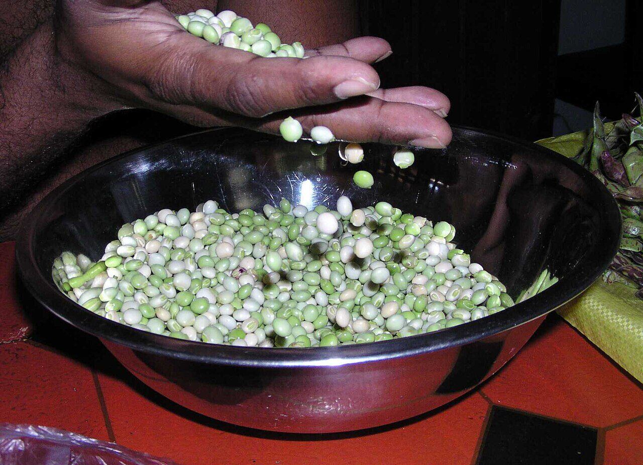 Pois du Cap secs et écossés