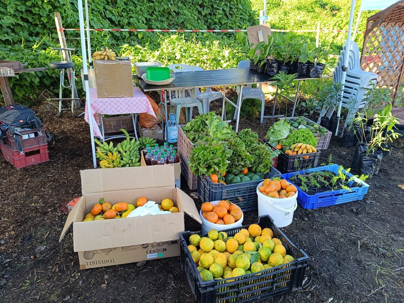 Produits agricoles présentés sur une table de vente